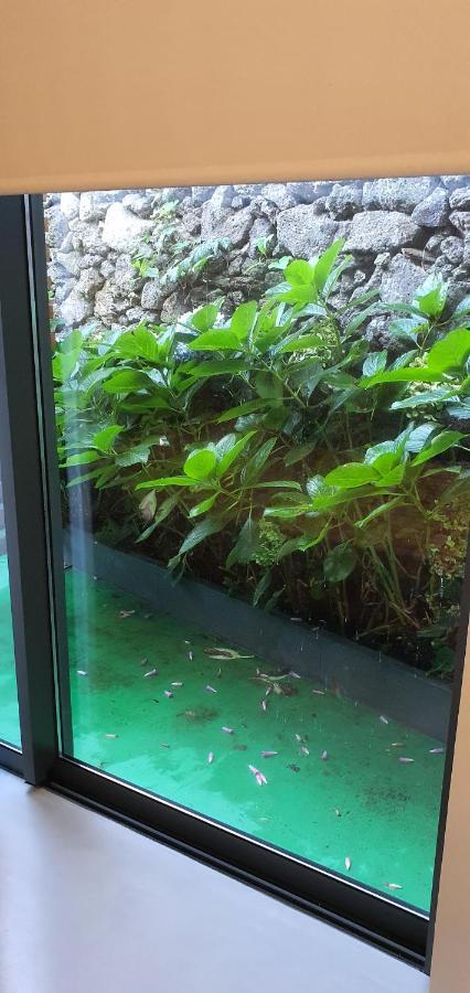 Arrenquinha Guesthouse 2 蓬塔德尔加达 外观 照片